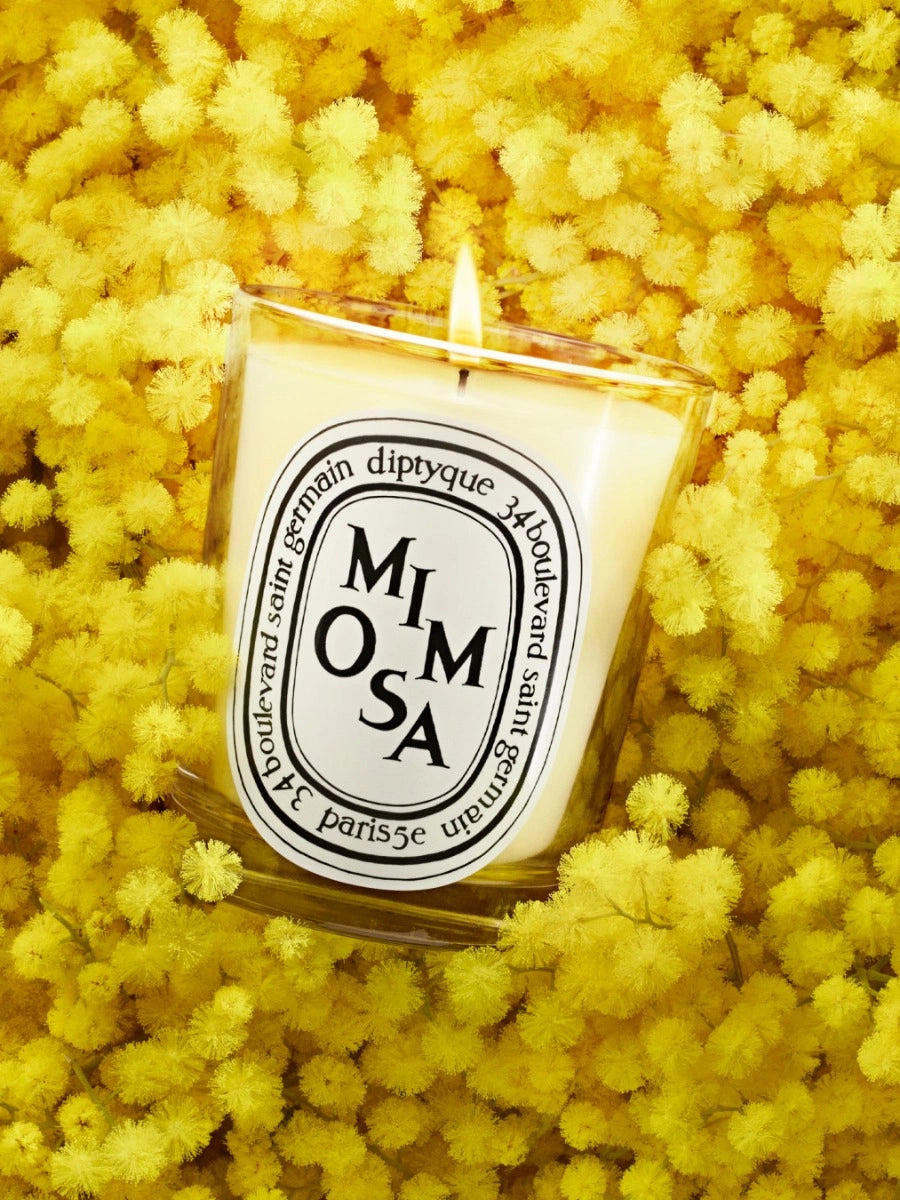Mimosa Classic Candle 190G