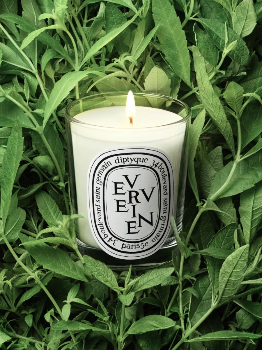 Verveine (Lemon Verbena) Small Candle 70G