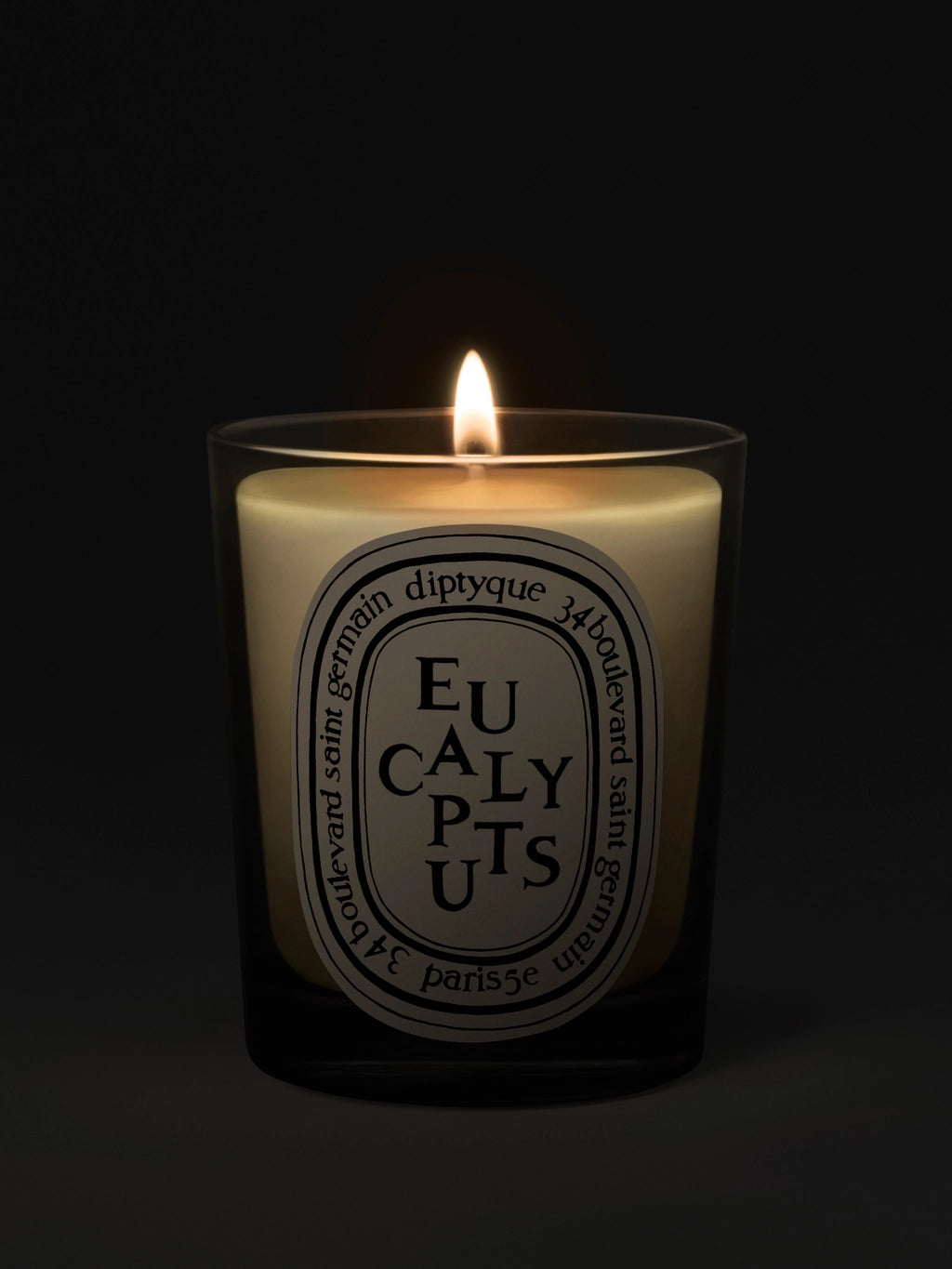 Eucalyptus Classic Candle 190G