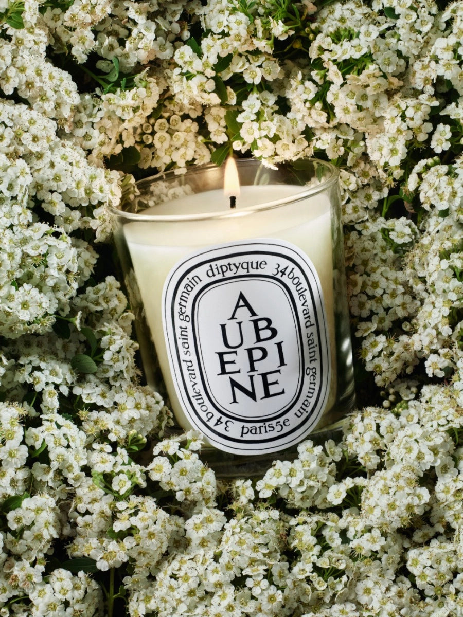 Aubépine (Hawthorn) Classic Candle 190G