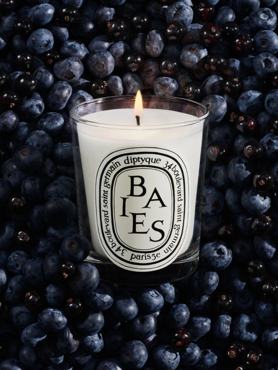 Baies (Berries) Classic Candle 190G
