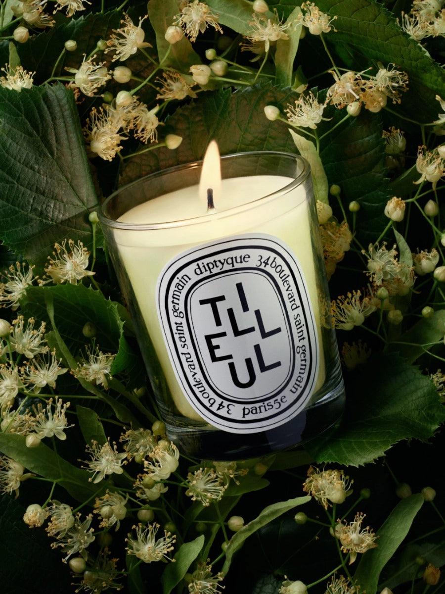 Tilleul (Linden Tree) Classic Candle 190G